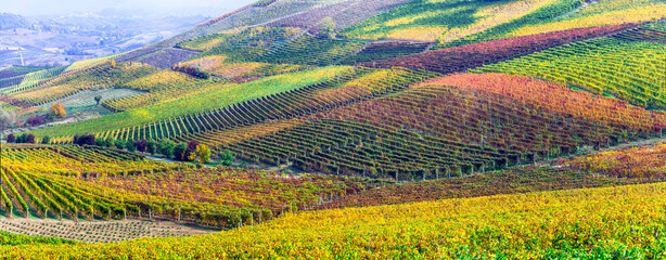 Sticker - famous wine region in Treviso, Italy. Valdobbiadene hills and vineyards on the famous prosecco wine route , autumn landscape scenery with colorful fields of grapewine