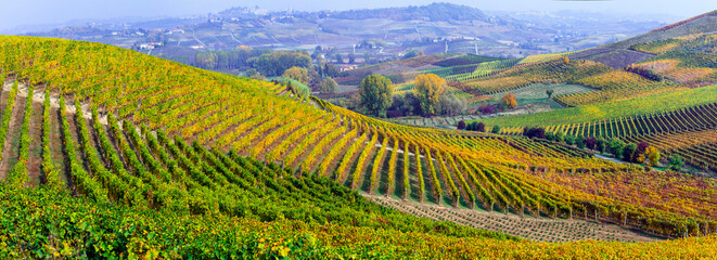 Sticker - famous wine region in Piedmont, Italy. Scenic villages between the hills and vineyards.  autumn landscape scenery with colorful fields of grapewine