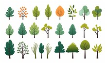 Simple Trees Bushes. Cartoon Forest Plants With Foliage, Minimal Shrub Botanical Garden Nature Elements.  Flat Set, Generative AI