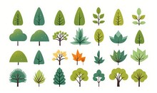 Simple Trees. Cartoon Forest Plants With Foliage, Minimal Bush Shrub, Botanical Garden Nature Elements.  Flat Set, Generative AI