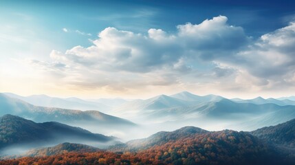 Poster - forest nature day october aerial illustration drone fall, outdoor season, scenery autumn forest nature day october aerial