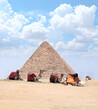 Camels resting on the sand near to pyramid, Giza, Cairo, Egypt. Famous Great Pyramid of Cheops in Egypt