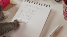 Cat Writing Letter For Santa Claus. Dear Santa. Christmas Pet. Cats Paw Making Wish List. Xmas Wishing. Feline Wants Love, Peace, Health, Money. Christmas Domestic Animals. Humor. Festive Decoration.	