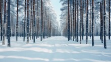 Wood Snow View Pine Winter Illustration Tree Landscape, Forest Park, Cold Path Wood Snow View Pine Winter