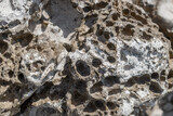 Fototapeta Kuchnia - Selective focus and blurred texture of sea rock with holes