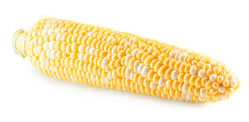 Wall Mural - corn cob isolated on the white background. Clipping path