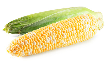 Poster - corn cob isolated on the white background. Clipping path