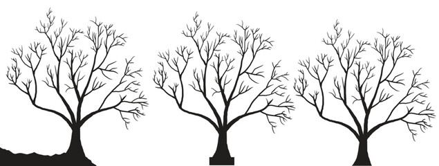 silhouette of dead tree vector illustration. silhouette of trees and branches without leaves. Bare Tree silhouette. Black Branch Tree vector. silhouette of a bare tree.	