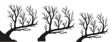 Black Branch Tree Vector. Silhouette Of A Bare Tree. Silhouette Of Dead Tree Vector Illustration. Silhouette Of Trees And Branches Without Leaves. Bare Tree Silhouette.	