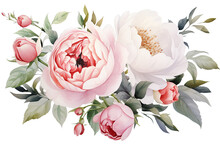 Clipart Watercolor Rose. Bouquet Of Roses Transparant