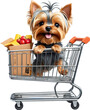 Cute Dog in shopping cart