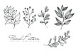 Collection of hand drawn spring flowers and plants. Monochrome vector illustrations in sketch style