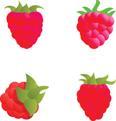 Poster - Raspberry icons set cartoon vector. Fresh organic berry. Healthy food