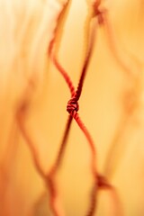 Selective focus shot of a red net