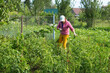 © ihtiandr73 - A woman weeds a vegetable garden.