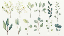 Watercolor Minimalist Leaves And Flowers Concept Art