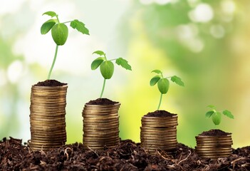 Canvas Print - The ground green plants on coins. Environmental business.