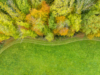 Wall Mural - Aerial view of forest in autumn. Copy space on green meadow.