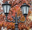 Closeup of street lantern against autumn leaves background