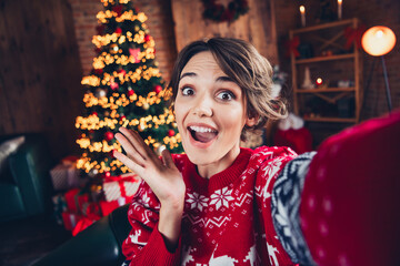 Poster - Selfie of funny young woman hand cheek waiting her family hooray gift boxes decorations happy new year shot isolated on home background