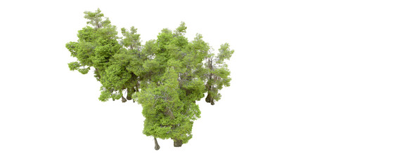 Green forest isolated on transparent background. 3d rendering - illustration