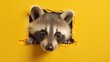  a raccoon pokes its head out of a hole in a yellow wall with it's head sticking out of a hole in the side of the wall.