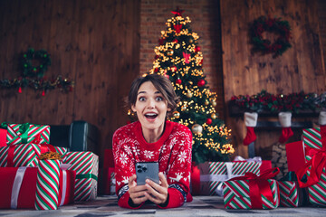 Sticker - Photo of lovely young lady hold device lying device excited dressed stylish red sweater christmas tree decorated interior living room