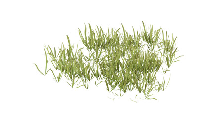 Sticker - Bunches of grass on a transparent background. 3D rendering.