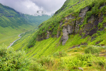 Wall Mural - Spectacular views of the Myrkdals Valley and its river, Norway