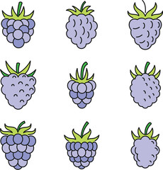 Poster - Fresh raspberry icons set. Outline set of fresh raspberry vector icons thin line color flat on white