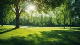 Fototapeta Krajobraz - Beautiful summer landscape with green foliage in the park