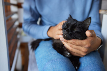 young man holding and petting cute cat male