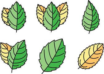 Poster - peppermint icons set. outline set of peppermint vector icons thin line color flat on white