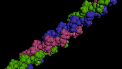 Poster - Collagen protein molecule. Molecular model. 3D rendering