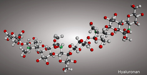 Canvas Print - Hyaluronan, hyaluronic acid, HA, hyaluronate molecule, short fragment. Molecular model. 3D rendering.