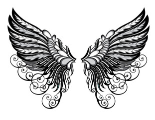 Wall Mural - illustration of a pair of wings, drawing, angel wings