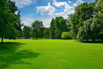 Wall Mural - Beautiful meadow with green grass in public park.