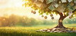 albero con banconote e monete che pendono dai rami frondosi, sfondo con tramonto su verdi prati