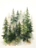 Fototapeta Natura - Watercolor illustration of pine tree forest with fog, abstract background