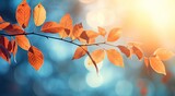Fototapeta Kwiaty - beautiful autumn leaves against a sun beams background Generative AI