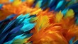Feathers in the colour of the Brazilian ethnicity form the background of Brazil. Background: Mardi Gras and the Rio Carnival