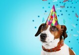 Fototapeta  - Happy cute smart dog in a party hat