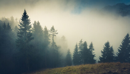 Canvas Print - misty landscape with fir forest in vintage retro style generative ai