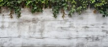 The Vintage White Wall Garden Had A Retro Urban Vibe With Its Old Wooden Texture And Grunge Paint Pattern Creating An Isolated Background That Added A Unique And Nostalgic Touch