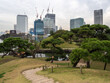 Walk path with green grassfields in Hamarikyu Gardens in Tokyo. Autumn in Tokyo Gardens among the commercial buildings