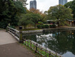 Pond in autumn Hamarikyu Gardens in Tokyo Japan