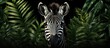 lush tropical forests of Africa a beautiful African mammal with a cute and adorable face covered in a striking black and white pattern roams freely blending perfectly with its natural surro