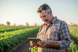 © toonsteb - an agricultural man smiles while working in a field with a tablet bokeh style background