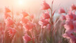 pink flowers nature background gladioli, delicate pastel colors, landscape field of flowers
