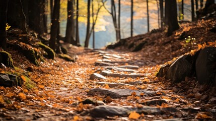 Poster - path forest dry day forest illustration nature season, tree green, natural outdoor path forest dry day forest